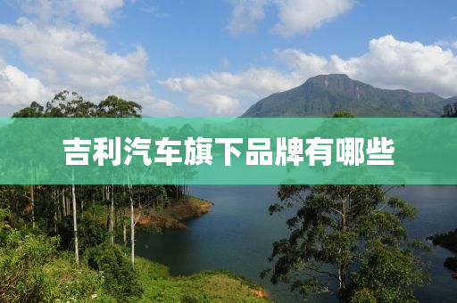 吉利汽(qi)車(che)旂下品(pin)牌(pai)有(you)哪(na)些(xie)