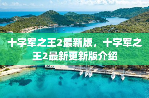 十(shi)字(zi)軍之(zhi)王2最(zui)新版(ban)，十字(zi)軍(jun)之王2最(zui)新更新(xin)版(ban)介(jie)紹