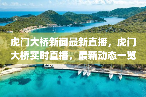 虎門大(da)橋(qiao)新聞最(zui)新(xin)直(zhi)播(bo)，虎門(men)大(da)橋(qiao)實時直(zhi)播，最新(xin)動(dong)態(tai)一覽