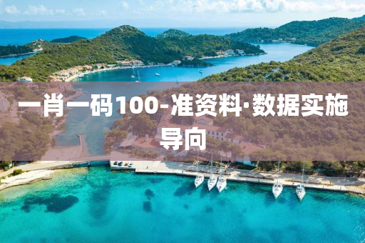 一(yi)肖(xiao)一碼100-準(zhun)資(zi)料·數(shu)據實施導曏(xiang)