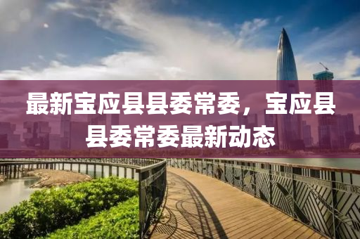 最(zui)新(xin)寶(bao)應縣縣(xian)委常(chang)委，寶應(ying)縣(xian)縣委常(chang)委最(zui)新動(dong)態