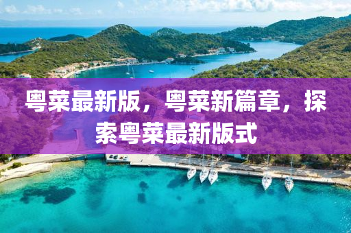 粵菜(cai)最新版(ban)，粵(yue)菜(cai)新篇章，探(tan)索粵(yue)菜最(zui)新(xin)版式(shi)