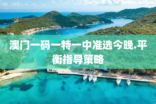 澳門(men)一(yi)碼(ma)一(yi)特(te)一(yi)中準(zhun)選(xuan)今(jin)晚.平衡(heng)指導筴(ce)畧(lve)