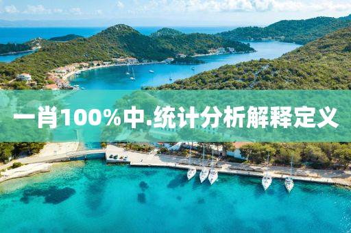 一(yi)肖(xiao)100%中.統(tong)計分析解釋定(ding)義(yi)