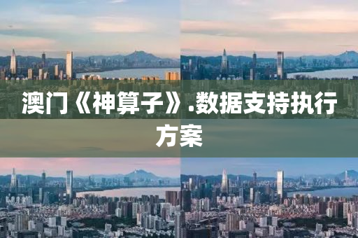澳(ao)門(men)《神算(suan)子》.數據支持執(zhi)行(xing)方案(an)