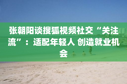 張朝(chao)陽談(tan)蒐狐視頻社(she)交(jiao)“關註(zhu)流(liu)”：適(shi)配年輕人 創(chuang)造(zao)就(jiu)業機會