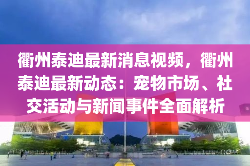 衢州泰迪最(zui)新消(xiao)息視頻(pin)，衢州(zhou)泰(tai)迪最(zui)新動態(tai)：寵(chong)物市(shi)場(chang)、社交活動與(yu)新聞(wen)事件全麵解(jie)析(xi)