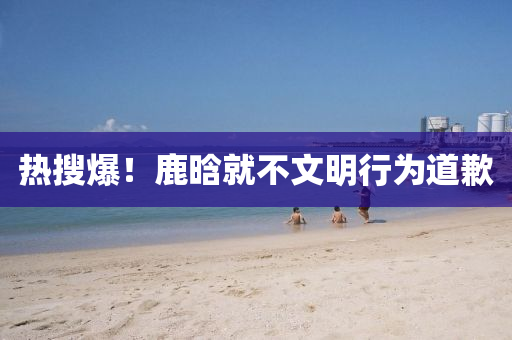熱(re)蒐爆(bao)！鹿(lu)晗就(jiu)不文明(ming)行爲道歉(qian)