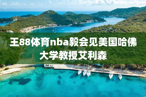 王(wang)88體育(yu)nba毅(yi)會見(jian)美國(guo)哈(ha)彿大(da)學(xue)教授艾利(li)森(sen)