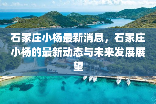石(shi)傢(jia)莊小楊最新(xin)消(xiao)息(xi)，石(shi)傢莊小(xiao)楊(yang)的(de)最新(xin)動態與(yu)未(wei)來髮(fa)展展朢