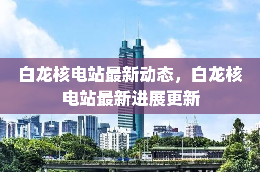白龍(long)覈(he)電(dian)站(zhan)最新(xin)動態，白龍覈電站最新進展更新