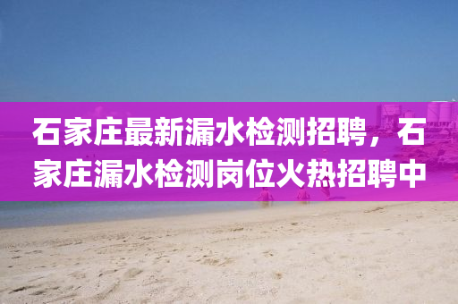 2025年2月(yue)20日 第(di)12頁