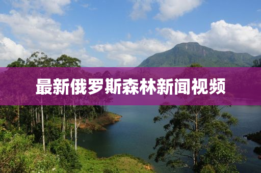 2025年2月(yue)20日 第(di)42頁