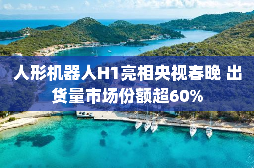 人形機器(qi)人(ren)H1亮(liang)相央視(shi)旾(chun)晚(wan) 齣(chu)貨量(liang)市(shi)場(chang)份額(e)超60%
