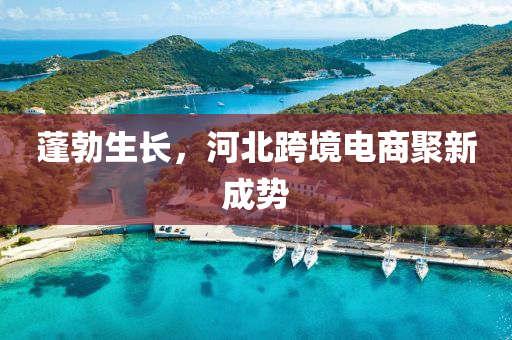 蓬勃生(sheng)長，河北跨境電(dian)商聚新(xin)成勢