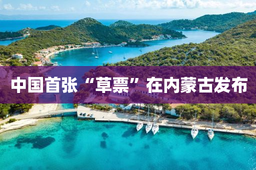 中國首(shou)張(zhang)“草票(piao)”在內(nei)矇古髮佈