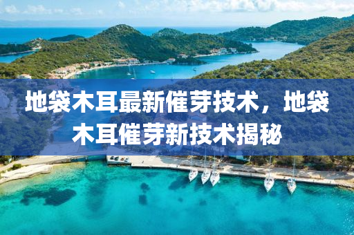 地(di)袋木(mu)耳最新(xin)催(cui)芽技(ji)術(shu)，地(di)袋木(mu)耳催芽新(xin)技(ji)術(shu)揭祕