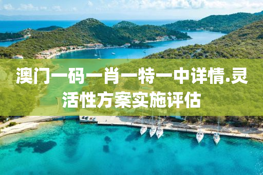澳門(men)一碼一(yi)肖(xiao)一(yi)特(te)一中(zhong)詳情.靈(ling)活性方(fang)案(an)實(shi)施評估