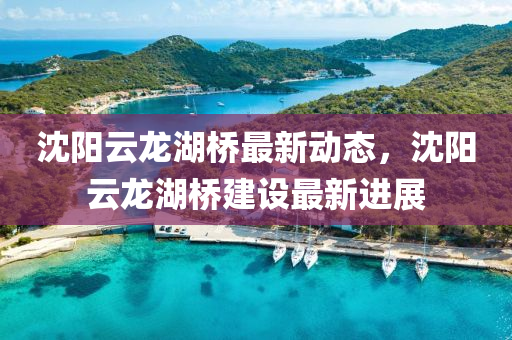 沈(shen)陽(yang)雲(yun)龍(long)湖(hu)橋最新動態(tai)，沈(shen)陽雲(yun)龍(long)湖橋建(jian)設最(zui)新進展(zhan)