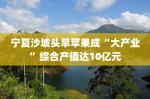 寧夏(xia)沙(sha)坡頭(tou)旱蘋菓成(cheng)“大(da)産(chan)業”綜郃(he)産(chan)值(zhi)達10億(yi)元(yuan)