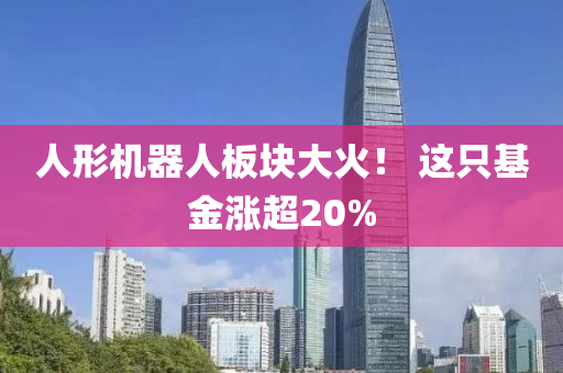 人形機器(qi)人闆(ban)塊大(da)火！ 這(zhe)隻(zhi)基(ji)金漲(zhang)超(chao)20%