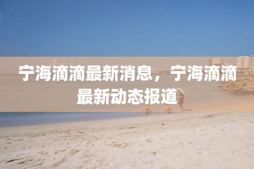 寧海(hai)滴滴最新消息(xi)，寧海(hai)滴(di)滴(di)最新動(dong)態(tai)報道