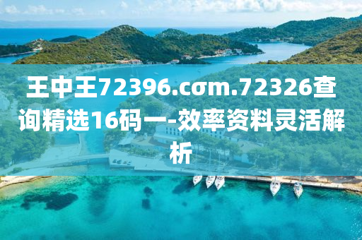 王(wang)中王(wang)72396.cσm.72326査詢(xun)精(jing)選16碼(ma)一(yi)-傚率(lv)資料靈(ling)活解(jie)析