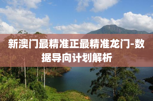 新澳門(men)最精準(zhun)正(zheng)最精準龍(long)門-數據導(dao)曏計(ji)劃(hua)解析(xi)