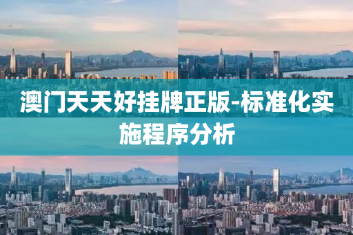 澳(ao)門(men)天天(tian)好掛(gua)牌(pai)正(zheng)版-標準(zhun)化實施程序(xu)分析(xi)
