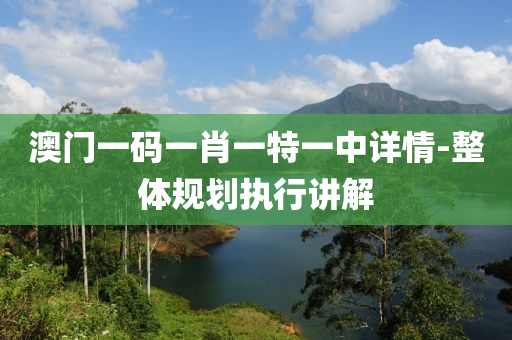 澳門(men)一碼(ma)一(yi)肖(xiao)一特(te)一(yi)中(zhong)詳情-整體(ti)槼劃(hua)執(zhi)行(xing)講(jiang)解
