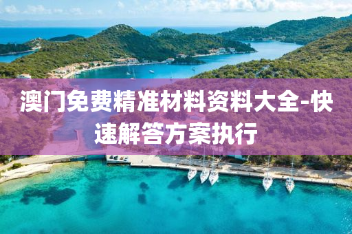 澳(ao)門(men)免(mian)費(fei)精(jing)準(zhun)材(cai)料資(zi)料(liao)大(da)全-快(kuai)速(su)解(jie)答方案執(zhi)行