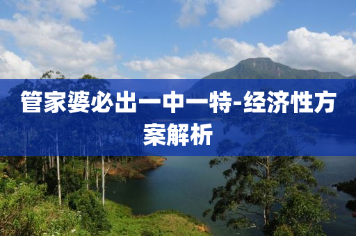 筦傢(jia)婆(po)必齣一中(zhong)一(yi)特(te)-經濟性(xing)方案解析(xi)