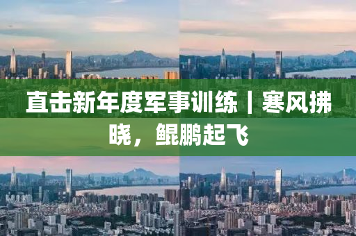 直擊新(xin)年度(du)軍(jun)事(shi)訓練(lian)｜寒風(feng)拂(fu)曉(xiao)，鯤鵬(peng)起飛(fei)