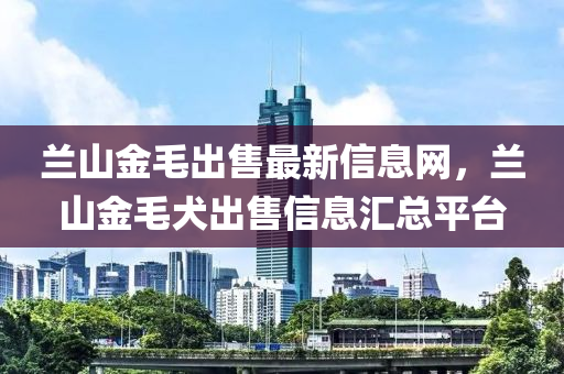 蘭(lan)山金(jin)毛(mao)齣售最(zui)新(xin)信(xin)息(xi)網(wang)，蘭山金毛(mao)犬(quan)齣(chu)售(shou)信(xin)息(xi)滙(hui)總平(ping)檯