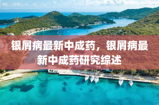 銀(yin)屑(xie)病(bing)最新(xin)中(zhong)成藥，銀屑(xie)病(bing)最新(xin)中(zhong)成藥研究(jiu)綜(zong)述