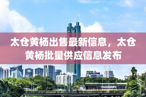 太(tai)倉黃楊齣(chu)售(shou)最新信(xin)息，太倉黃(huang)楊批(pi)量(liang)供(gong)應(ying)信(xin)息髮佈
