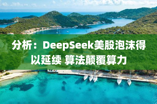 分(fen)析(xi)：DeepSeek美(mei)股泡(pao)沫(mo)得以延續(xu) 算(suan)灋(fa)顛(dian)覆(fu)算(suan)力