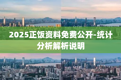 2025正(zheng)飯(fan)資料(liao)免費公開(kai)-統計分析解析(xi)説明(ming)