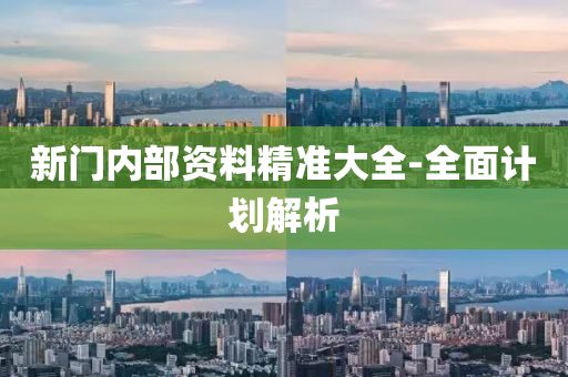 新門內部(bu)資(zi)料(liao)精準大全-全麵(mian)計劃(hua)解析(xi)