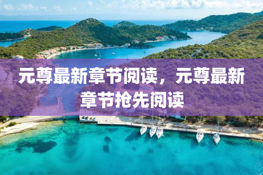 元(yuan)尊最(zui)新章節閲讀(du)，元(yuan)尊最新章節(jie)搶先(xian)閲(yue)讀(du)