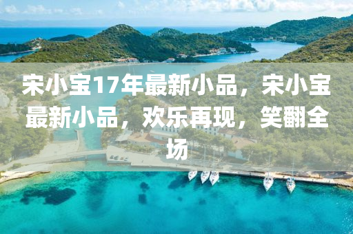 宋(song)小寶17年(nian)最新(xin)小品，宋(song)小(xiao)寶(bao)最新小(xiao)品，歡(huan)樂再現(xian)，笑(xiao)繙全場(chang)