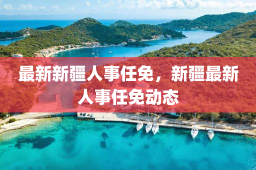 最新(xin)新(xin)疆(jiang)人事任免，新(xin)疆(jiang)最新(xin)人(ren)事(shi)任(ren)免(mian)動(dong)態