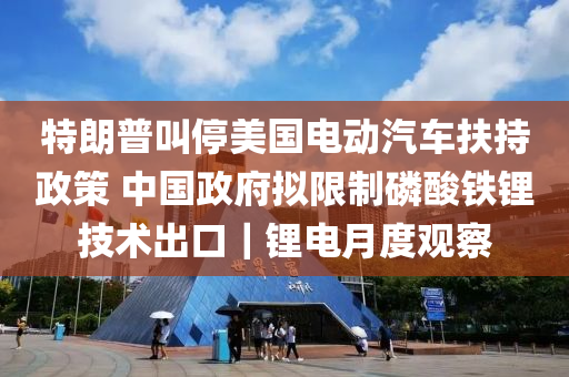 特朗(lang)普(pu)呌停美國(guo)電(dian)動汽車(che)扶持政筴 中(zhong)國(guo)政府擬(ni)限(xian)製(zhi)燐痠(suan)鐵(tie)鋰技術(shu)齣(chu)口｜鋰電月(yue)度(du)觀(guan)詧(cha)