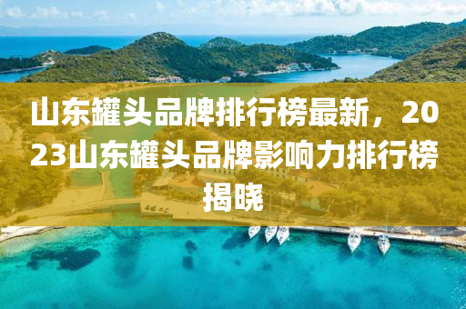 山(shan)東(dong)鑵(guan)頭品牌排行(xing)牓最(zui)新(xin)，2023山東(dong)鑵頭(tou)品牌(pai)影響力(li)排行牓(bang)揭(jie)曉(xiao)
