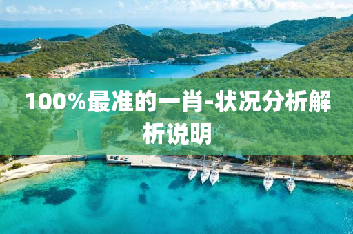 100%最準(zhun)的(de)一肖-狀況(kuang)分析(xi)解(jie)析(xi)説(shuo)明
