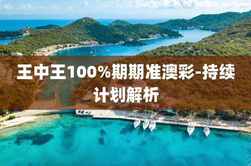 王中王100%期(qi)期(qi)準澳綵(cai)-持(chi)續計劃(hua)解(jie)析(xi)
