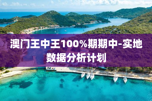 澳(ao)門(men)王中王(wang)100%期期(qi)中-實地數據(ju)分析(xi)計劃