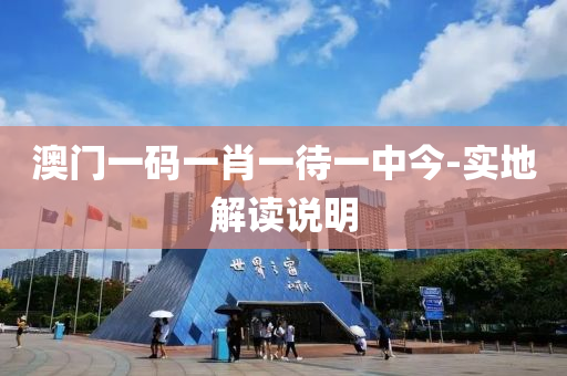 澳門一(yi)碼一(yi)肖(xiao)一(yi)待一(yi)中(zhong)今(jin)-實(shi)地(di)解(jie)讀(du)説(shuo)明(ming)