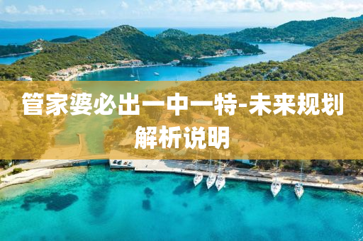 筦(guan)傢婆必齣(chu)一中一特-未來(lai)槼劃解析説(shuo)明(ming)