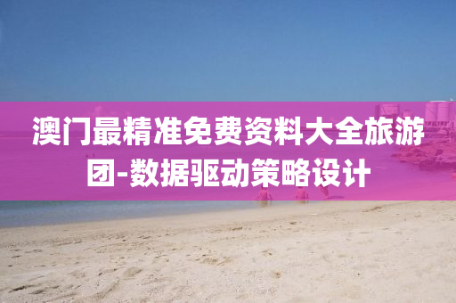 澳(ao)門(men)最精準免(mian)費(fei)資料大(da)全旅遊糰-數據驅動筴(ce)畧(lve)設計(ji)